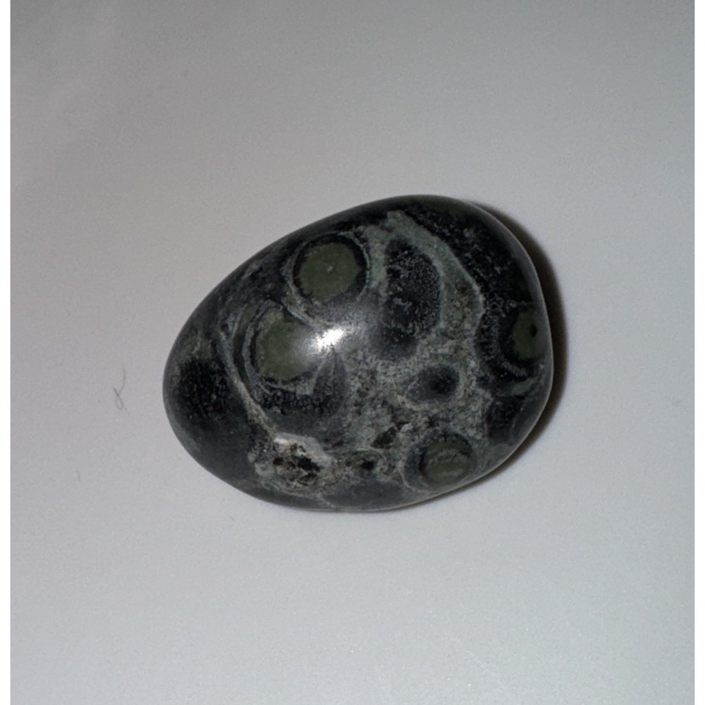 Kambaba Stone Polished Rock‎ 2 in
